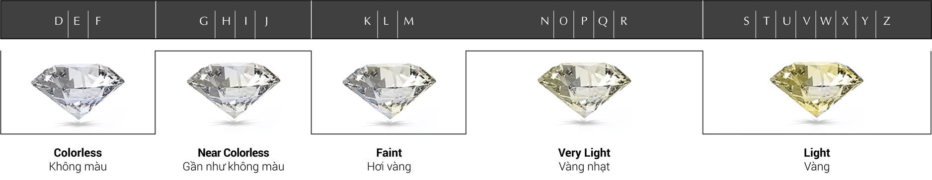 Tiêu chí 3: Nước/Màu (Color)